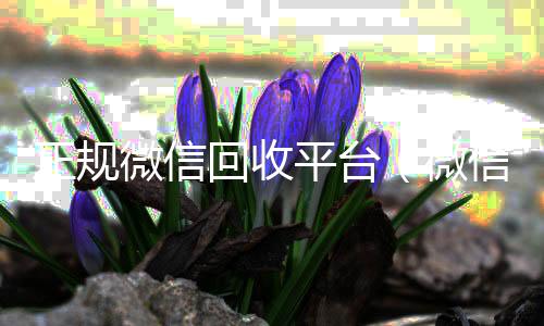 正规微信回收平24小时vx回收平台台（微信回收平台联系方式）